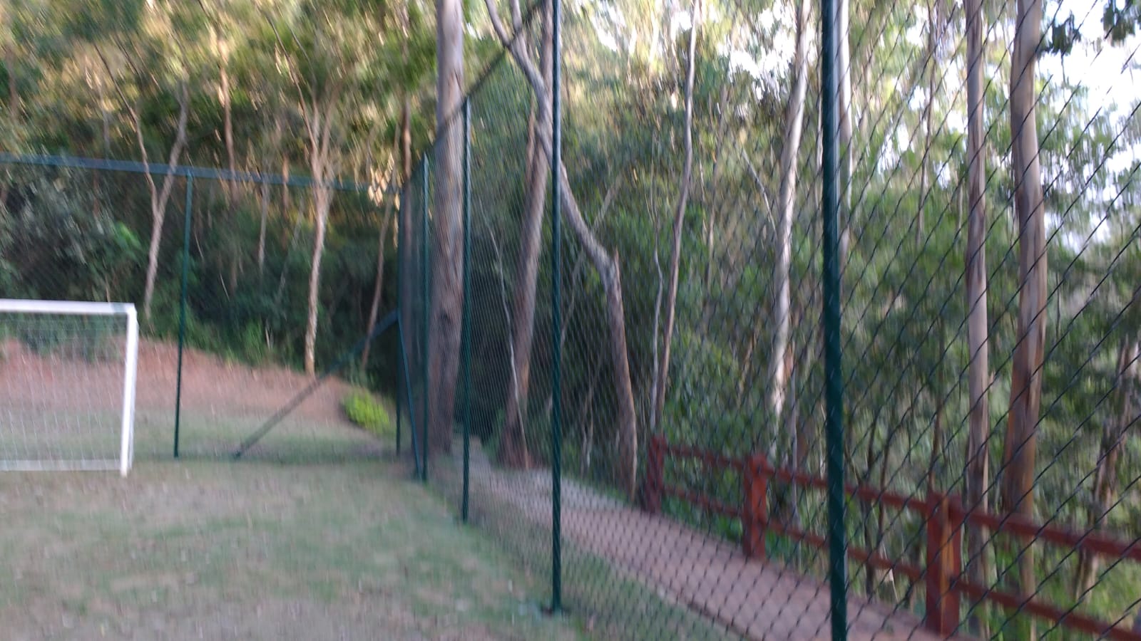 Serviço 20