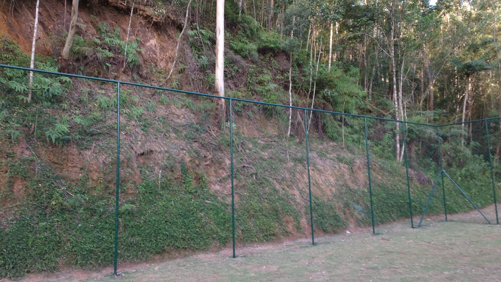 Serviço 21