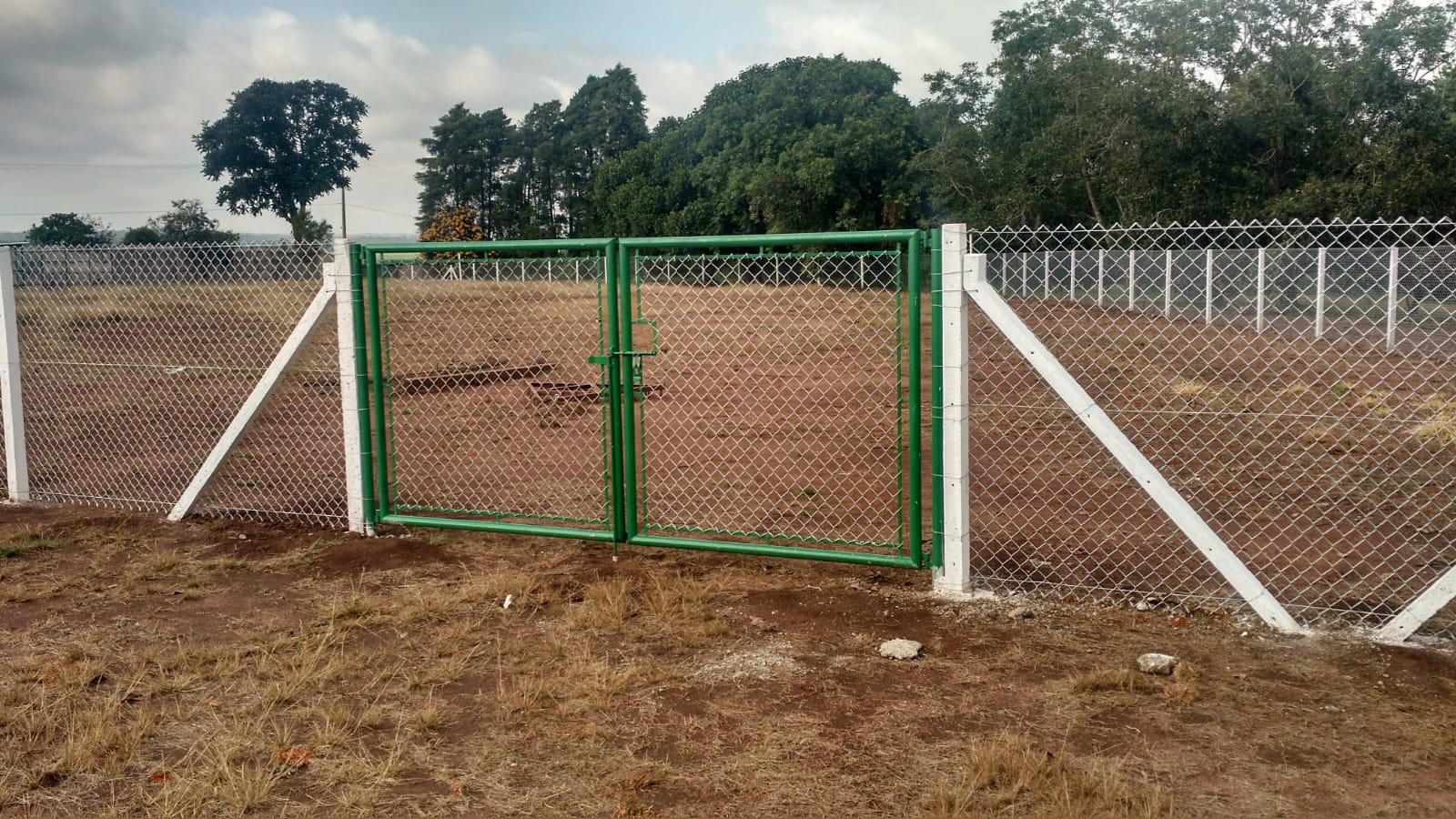 Serviço 50