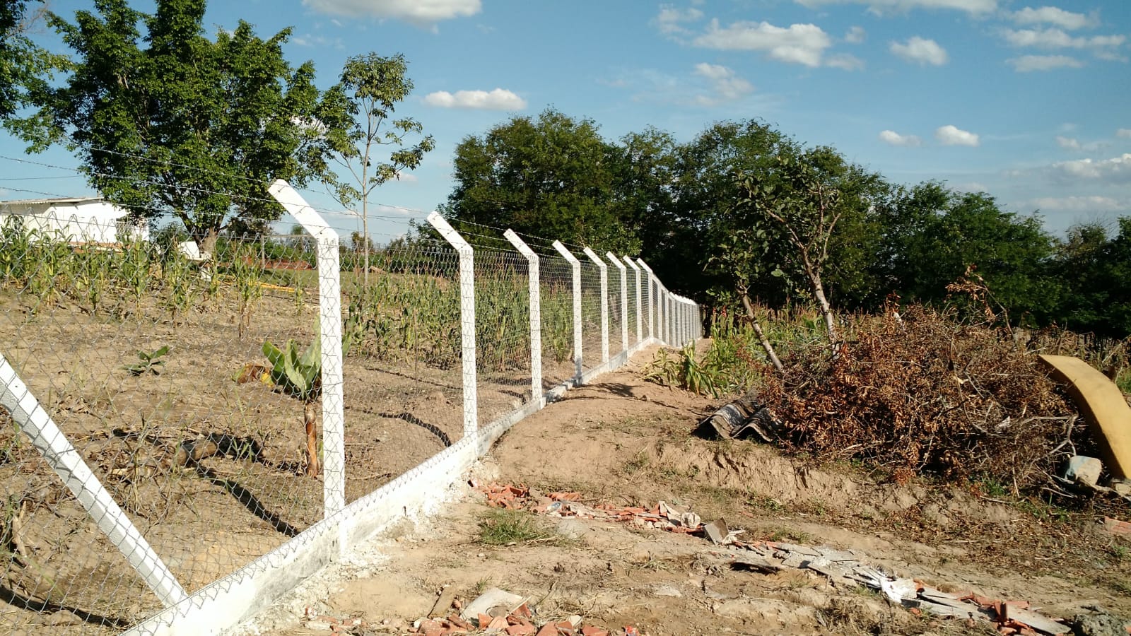 Serviço 71