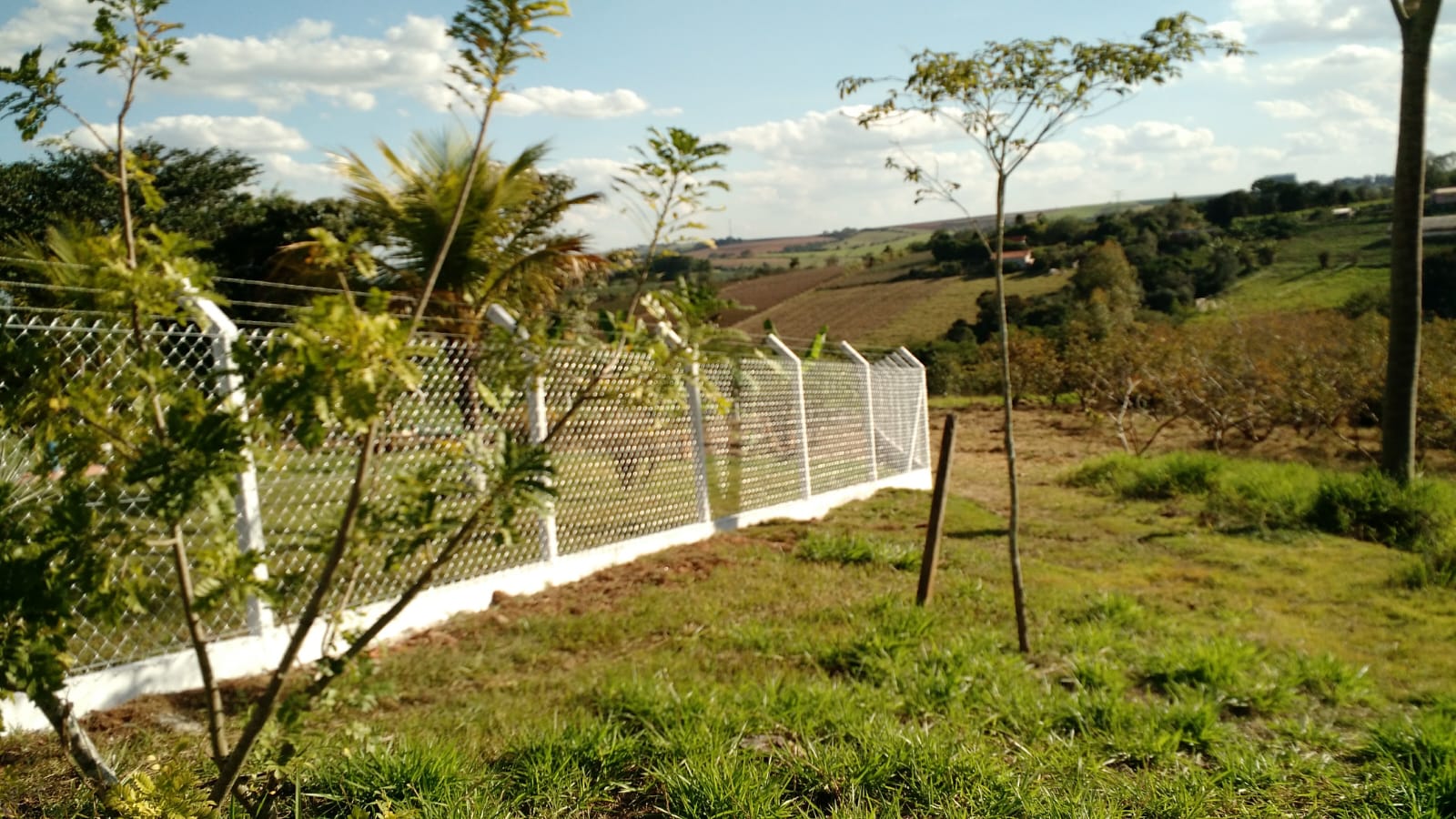 Serviço 74
