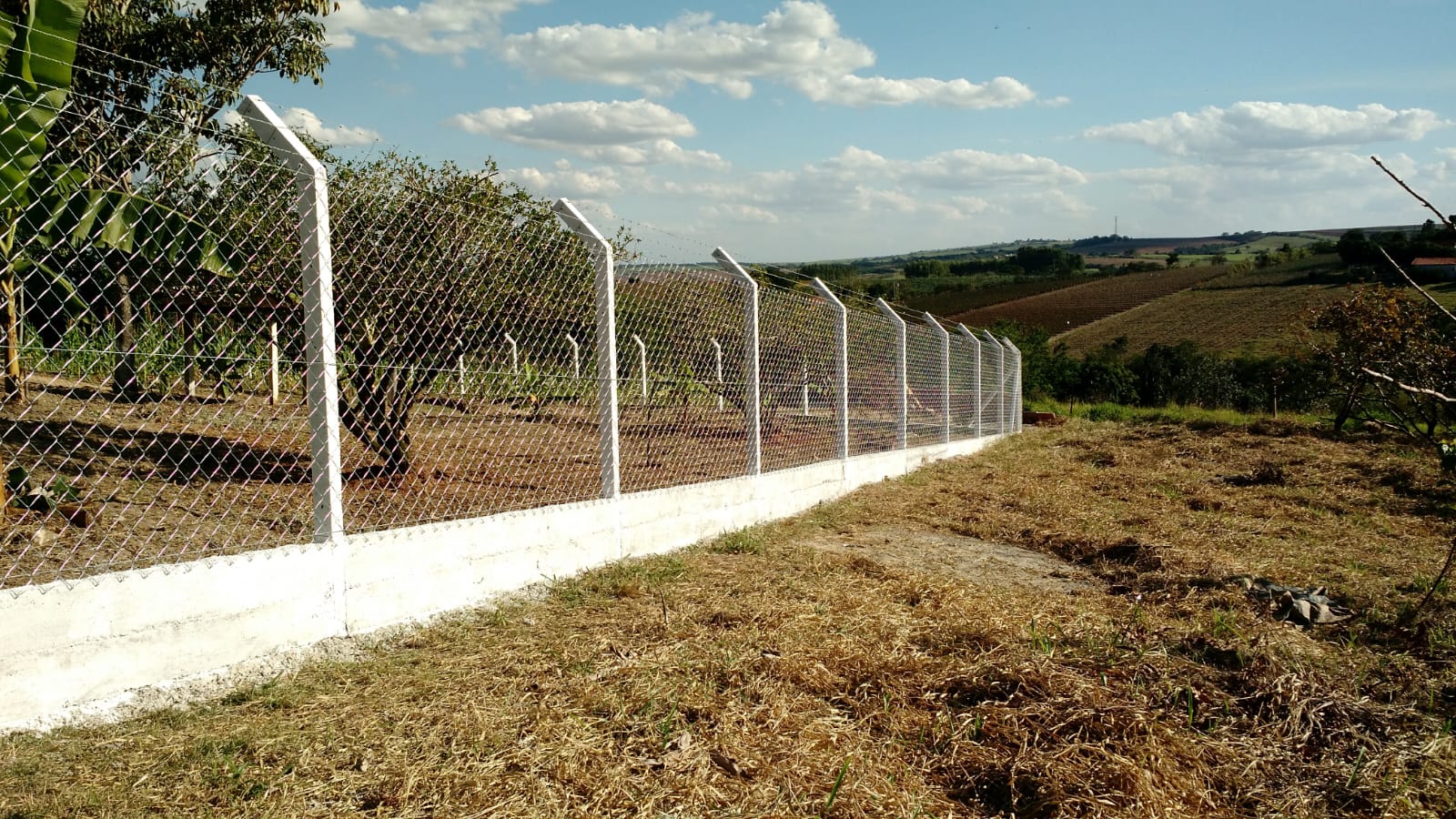 Serviço 75